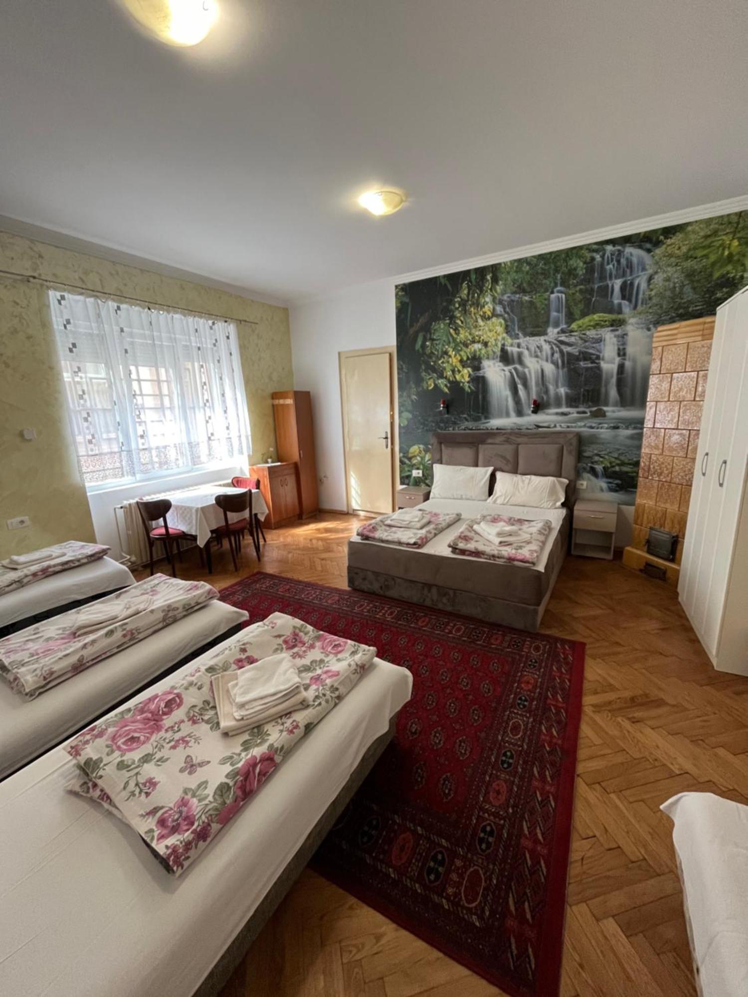 Sobe Sa Sopstvenim Kupatilom Private Rooms Bathroom In Center Novi Sad Exterior foto